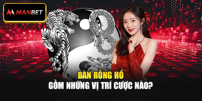 Bàn Rồng Hổ gồm những vị trí cược nào?