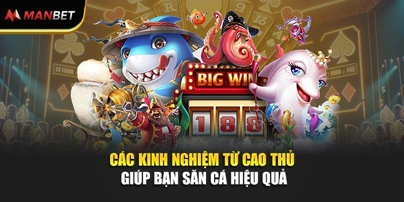 Các kinh nghiệm từ cao thủ giúp bạn săn cá hiệu quả