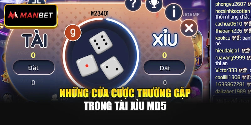 Những cửa cược thường gặp trong Tài Xỉu MD5