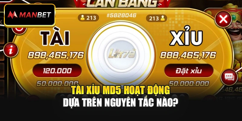 Tài Xỉu MD5 hoạt động dựa trên nguyên tắc nào?